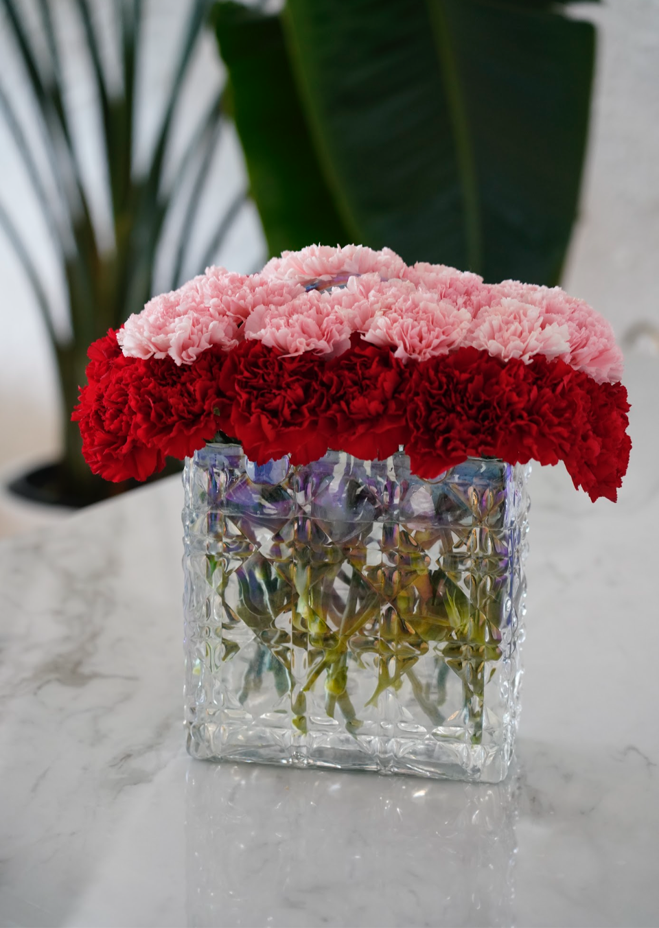 Pink & Red Collection