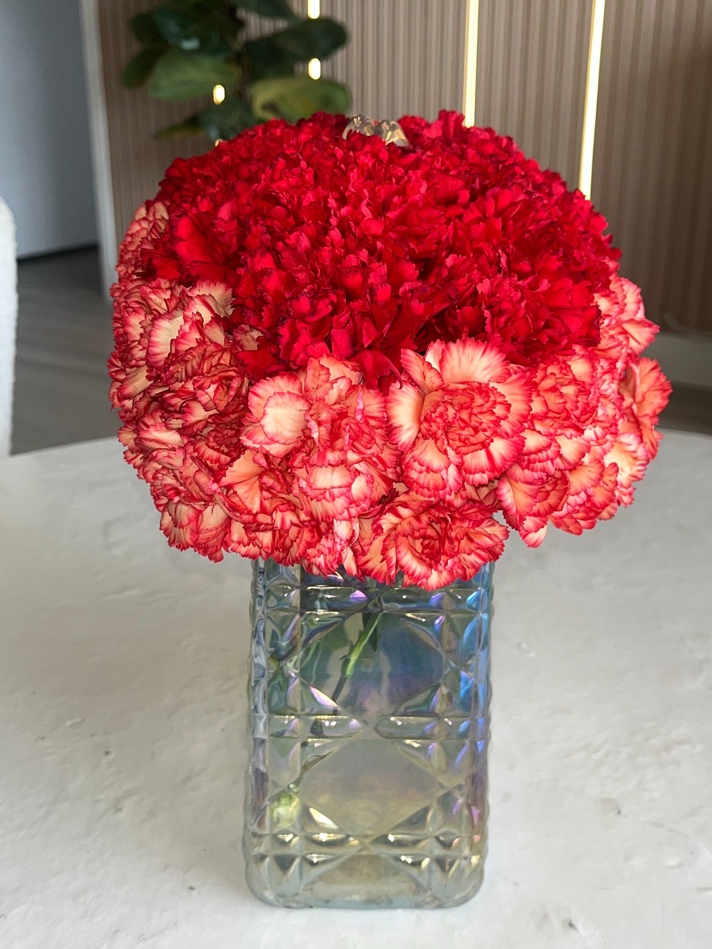 Orange & Red Collection