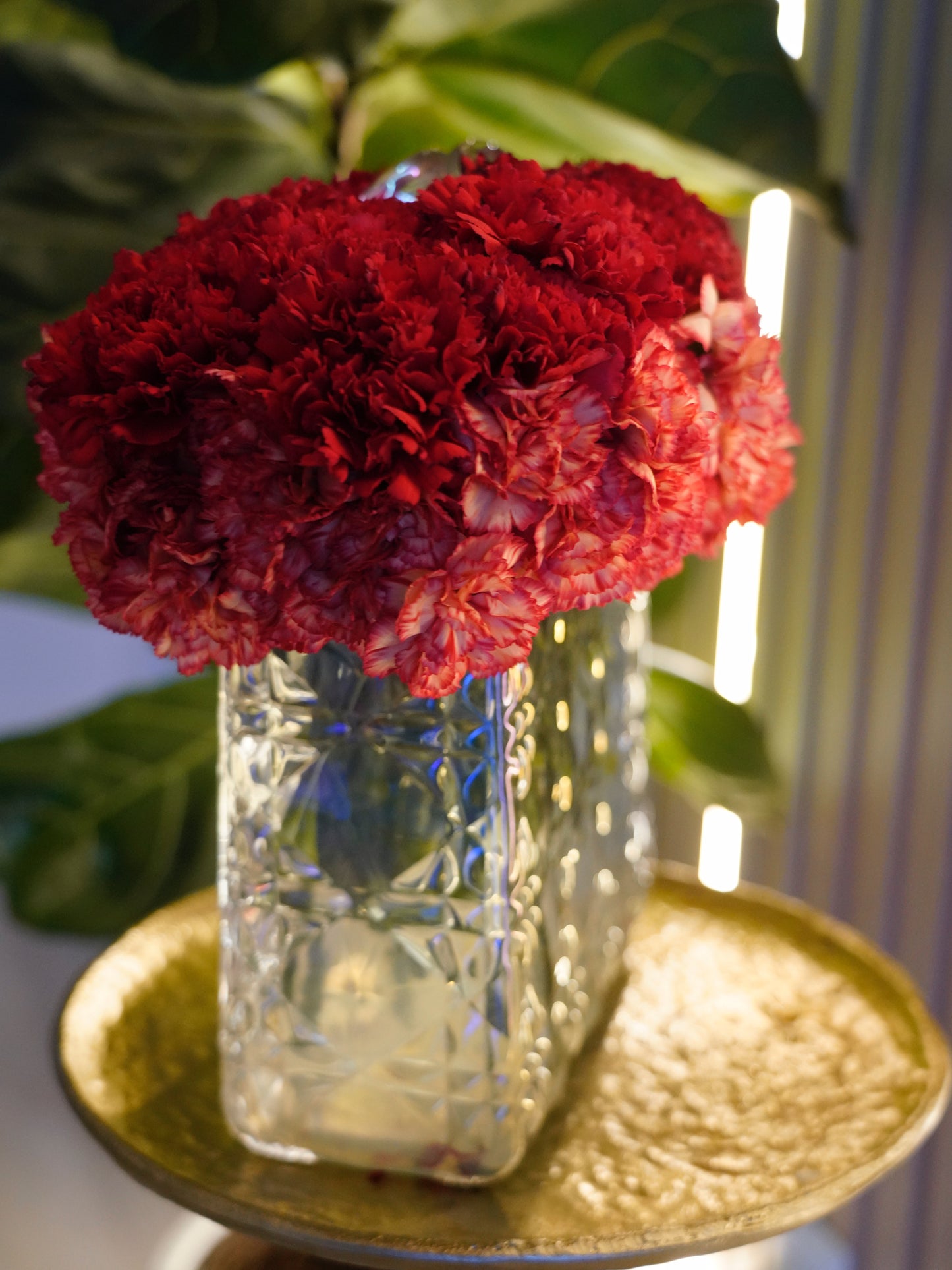 Orange & Red Collection