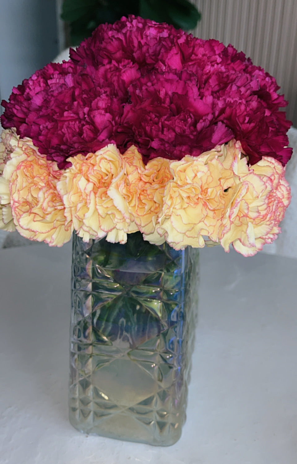 Burgundy&yellow Collection