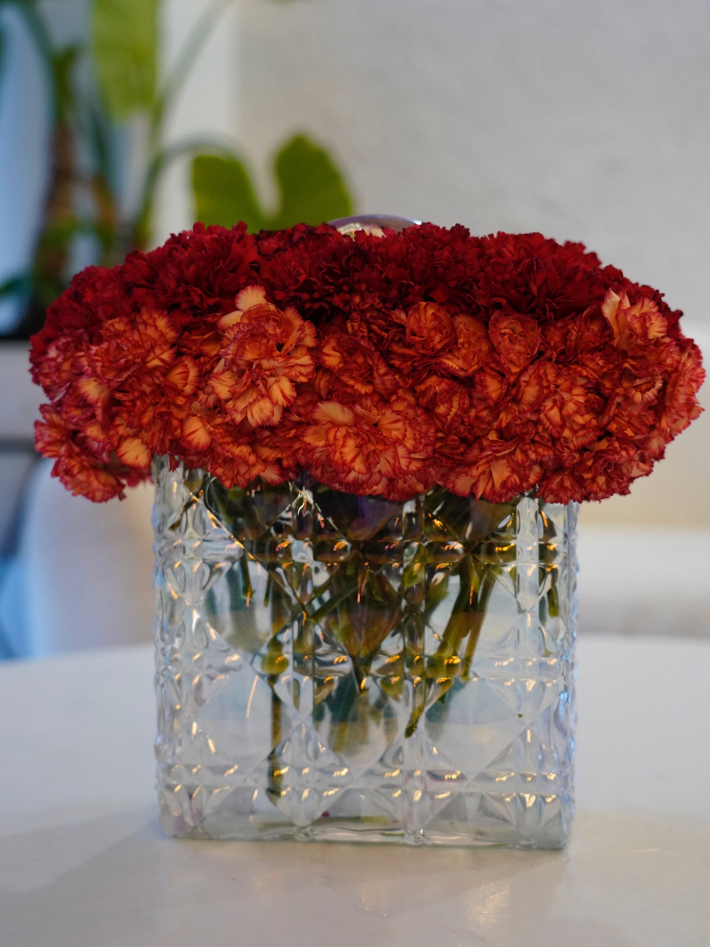 Orange & Red Collection