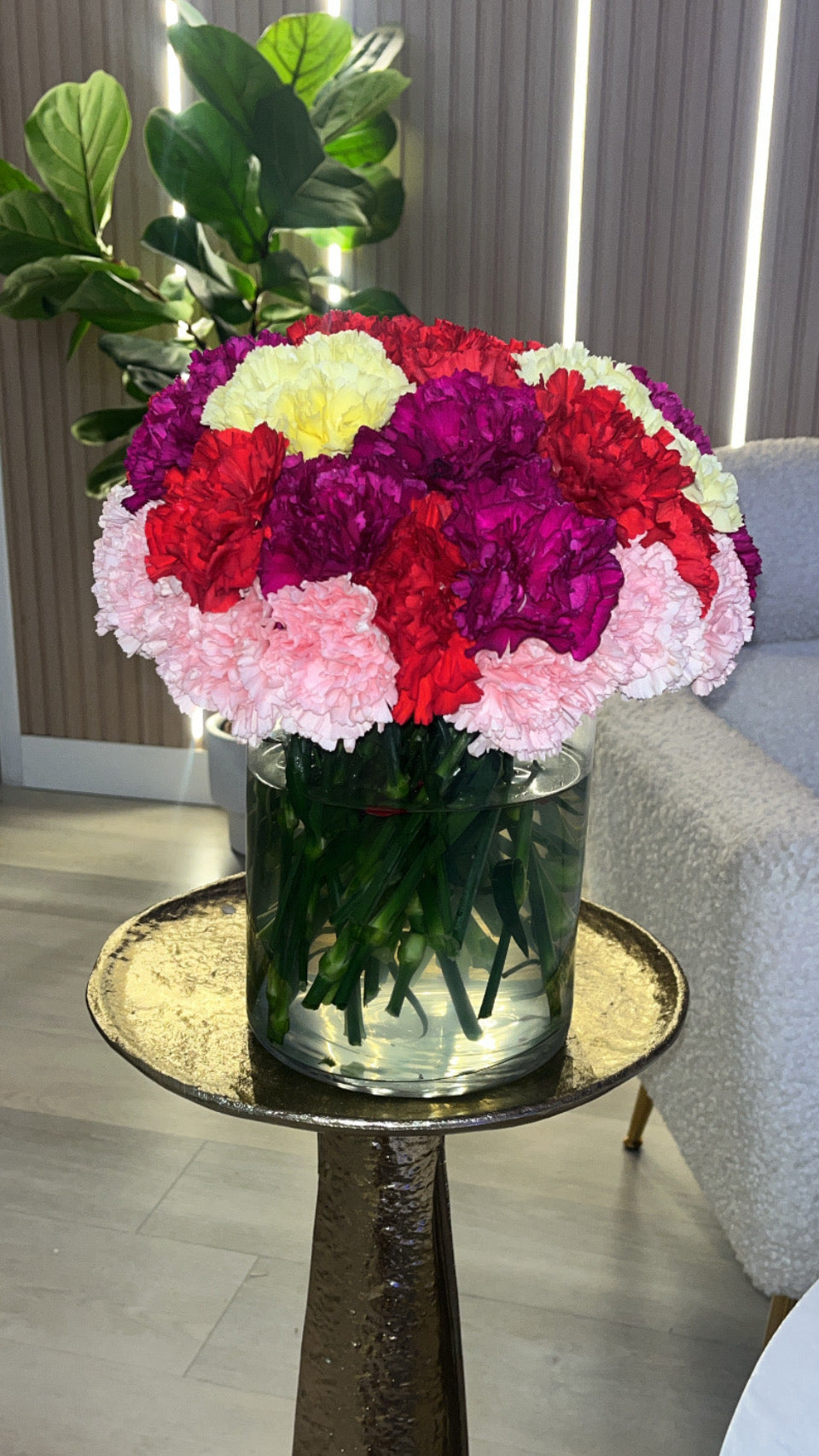 Aneta’s Signature colorful collection