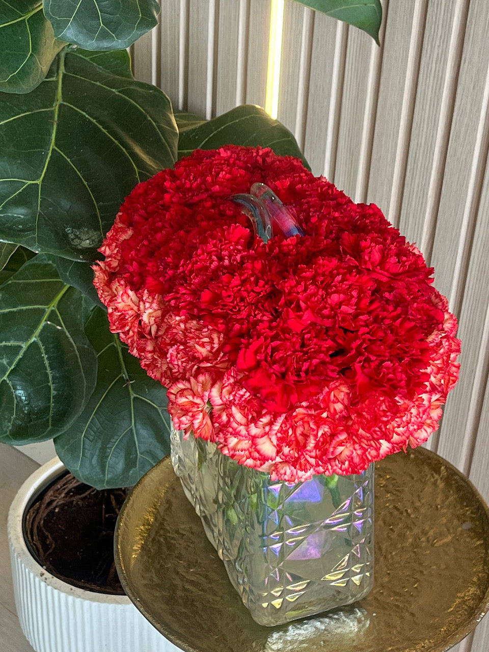 Orange & Red Collection