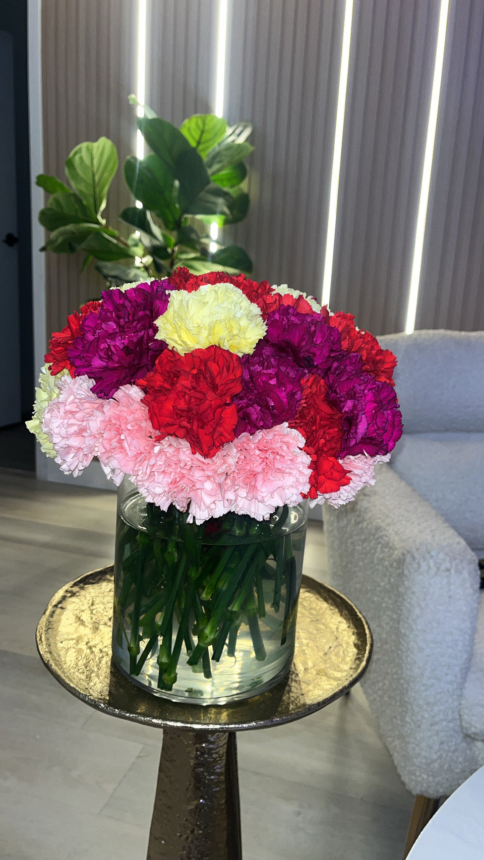 Aneta’s Signature colorful collection