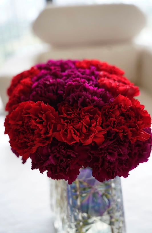 “Red & Burgundy Collection “