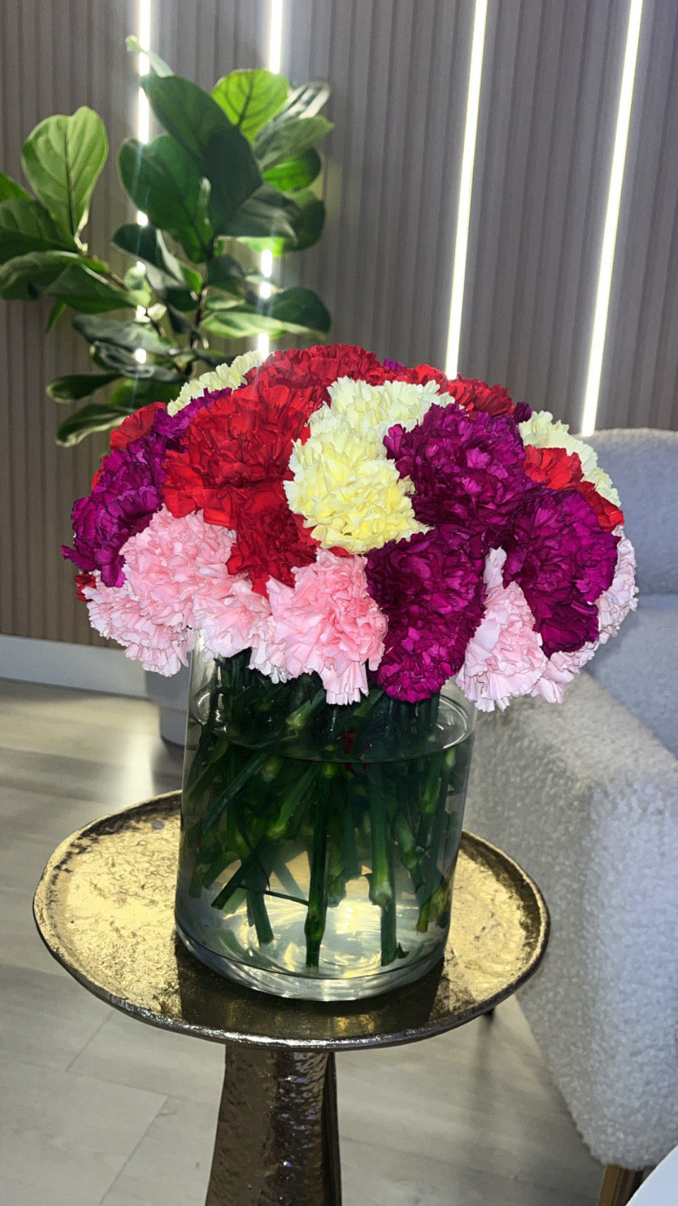 Aneta’s Signature colorful collection