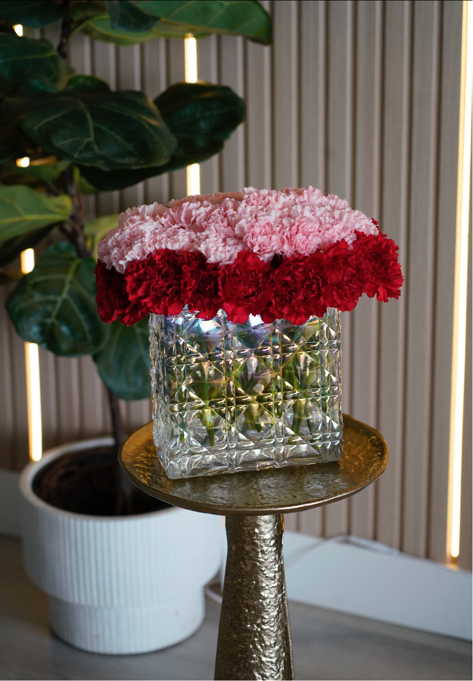 Pink & Red Collection