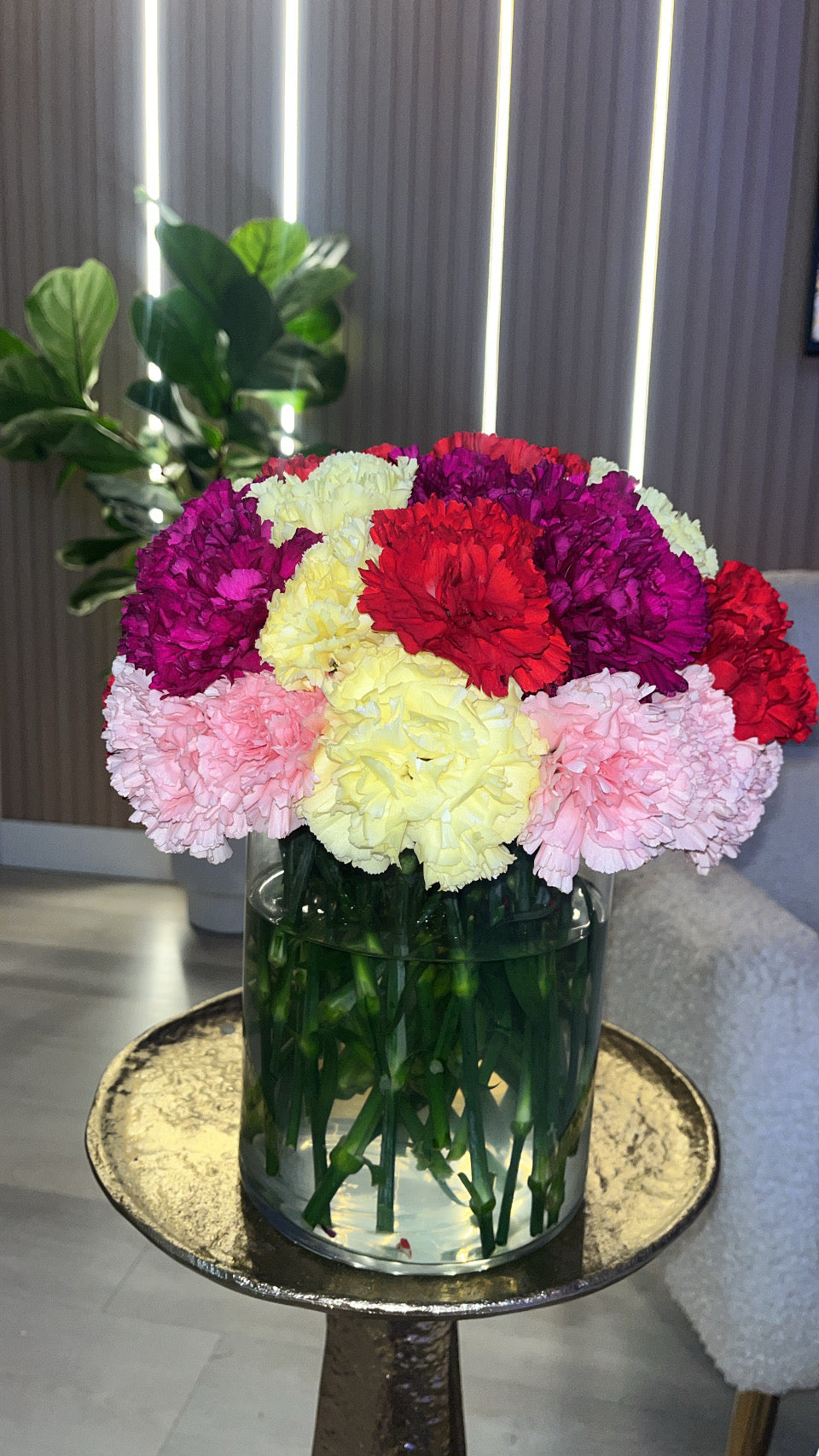 Aneta’s Signature colorful collection