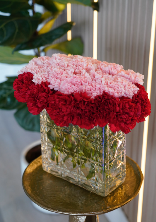 Pink & Red Collection